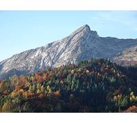 500 Pièces Puzzle pour Adultes et Enfants à Partir de 14 Ans - Forêts de Versant de Montagne 52x38cm