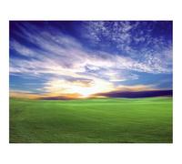 500 Pièces Puzzles Classiques pour Adultes et Enfants-Champ,déclin 52x38cm