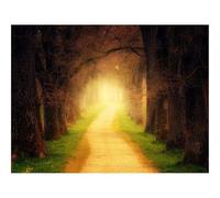 500 Pièces Puzzles Classiques pour Adultes et Enfants-forêts,Chemin,lumière du Soleil 52x38cm