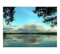 500 Pièces Puzzles Classiques pour Adultes et Enfants-Nuages,Volume,Arbres,Reflet,Étang 52x38cm