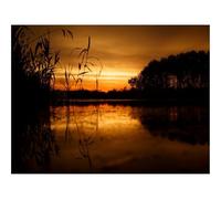 500 Pièces Puzzles pour Adultes Enfants-Coucher de Soleil,Horizon,Herbe,Ciel 52x38cm