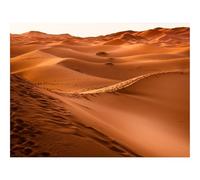 500 Pièces Puzzles pour Adultes Enfants-Désert,Maroc,Dune 52x38cm