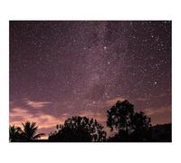 500 Pièces Puzzles pour Adultes Enfants-Étoiles,Ciel,Nuit,Arbres,Silhouettes 52x38cm