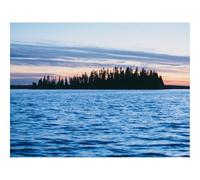 500 Pièces Puzzles pour Adultes Enfants-forêts,Arbres,Silhouettes,Eau,Vagues,Paysage 52x38cm