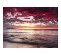 500 Pièces Puzzles pour Adultes Jeu éducatif Challenge Toy-Coucher de Soleil,Horizon,Plage,Pierres,Mer 52x38cm
