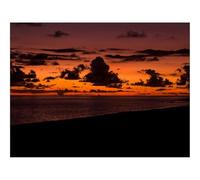 500 Pièces Puzzles pour Adultes Jeu éducatif Challenge Toy-Coucher de Soleil,Nuages,mer,Plage,Horizon 52x38cm