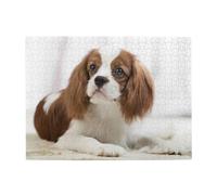 500 pièces, Puzzles pour Adultes, Puzzles stimulants, Jeu de Puzzle pour Tout Le Monde,Cavalier King Charles Spaniel Épagneul Brun