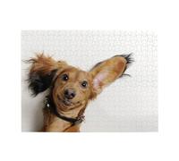 500 pièces, Puzzles pour Adultes, Puzzles stimulants, Jeu de Puzzle pour Tout Le Monde,Chiot Terrier Russe sur Fond Blanc