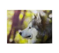 500 pièces, Puzzles pour Adultes, Puzzles stimulants, Jeu de Puzzle pour Tout Le Monde,Malamute d'Alaska Bokeh Animaux de Compagnie Chiens Mignon