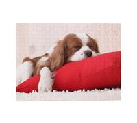 500 pièces, Puzzles pour Adultes, Puzzles stimulants, Jeu de Puzzle pour Tout Le Monde,Modèle Cavalier King Charles Spaniel