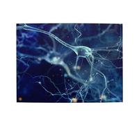 500 pièces, Puzzles pour Adultes, Puzzles stimulants, Jeu de Puzzle pour Tout Le Monde,Neurologie des neurones et des cellules cérébrales 3D