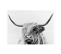 500 pièces, Puzzles pour Adultes, Puzzles stimulants, Jeu de Puzzle pour Tout Le Monde,Portrait d'une Vache des Highlands