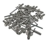 500 rivets alu tete 12 mm extra large de 4 x 10 tige acier -