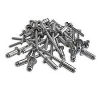 500 rivets alu tete standard de 4.8 x 10 tige acier - Sacto G