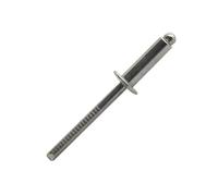 500 rivets standards à inox A4/inox A4 à tête plate à Ø4,8x10mm - SCELL-IT - BND4810-BC