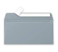 [50075C] Pollen Pqt de 20 Enveloppe 120g 110x220 argent