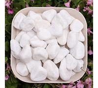 500G Pebbles Gravier,Gravier Blanc Decoratif Naturel,Gravier Jardin Pierres, Cailloux de Marbre Blanc Naturels Cailloux Décoratifs Blancs,pour Vase, Plantes en Pot, Jardin, Décoration d’Intérieur.