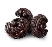 500g Thé aux Ganoderma Lucidum Herbes Chine Original Thé Parfumé Bon Thé Naturel Organique Thé aux Fleurs Aliments Verts sans Additifs Thé aux Herbes