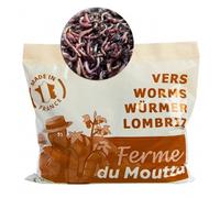 500gr de vers de compost lombric