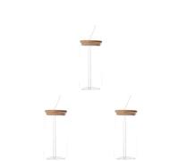 500ml/16oz Iced Coffee Cup, 3 Pack Glass Tumbler Glass Cups with Lids and Straws, Beer Glasses Tea Cup Reusable Bottle for Cocktail, Milk, Ice Water, Juice, Coffee, Soda, Whiskey