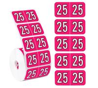 500pcs Autocollants Année 2025, 3,8x1,9cm Autocollants du Nouvel An 2025 Étiquettes de l'Année du Dossier Autocollants à Code Couleur pour Dossiers à Onglets (Rose Rouge)