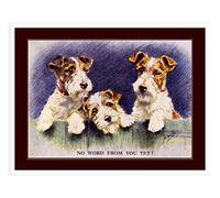 501 Plaque Metal Photo Impression Fil Fox Terrier Chiot Chien Trio Art Poster Aluminium Vintage Métal Mur Affiche Unique Wall Sticker Pour Salon Maison Chambre 20x30 cm