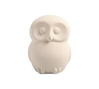 50511 Blanc Tirelire