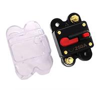 50A 60A 80A 100A 150A 200A 250A 300A 12-48V amplificateur Audio de voiture disjoncteur porte-fusible amplificateur stéréo Refit Protecteurs de fuite à la terre (Color : 250a)