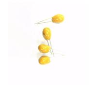 50PCS DIP Tantalum capacitor 16V100UF 100UF 16V 107F pitch 2.54 mm AUOQKQUT