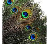 50Pcs Plumes de Paon Naturelles Avec Oeil Plumes de Queue de Paon 25-30cm pour Bijoux Bricolage Accessoires Décoratifs Fête de Mariage Arts et Métiers Décorations à la Maison(50, 25-30cm)