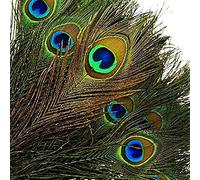 50Pcs Plumes de Paon Naturelles Avec Oeil Plumes de Queue de Paon 40-50 cm pour Bijoux Bricolage Accessoires Décoratifs Fête de Mariage Arts et Métiers Décorations à la Maison(50, 40-50cm)