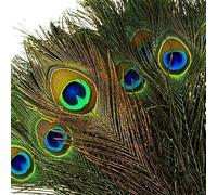 50PCS Plumes Naturelles de Paon avec des Yeux de Plumes de Queue de Paon 16-20 Pouce (40-50cm) pour la Fête de Mariage Arts and Crafts Home Decorations (50)