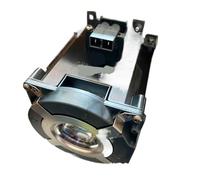 512893 Lampe Type 21 Lampe for RIC-Oh PJ WU6181N