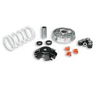 519019 variateur Malossi Multivar 2000 d.19 piaggio zip sP 50 2T lC 2001-