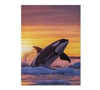 52x38cm/1000pcs Puzzle pour Adolescents Orca Leaping Sunset in ICY Waters Puzzles pour Adolescents : Jeux Amusants, Passe-Temps Stimulant À Compléter