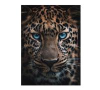 52x38cm/1000pcs Puzzles pour Adolescents Blue Eyed Leopard Puzzle pour Adultes - Jeu De Réflexion - Anti-Stress - Stimule Le Cerveau
