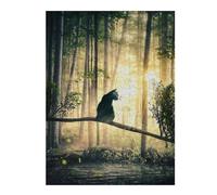 52x38cm/1000pcs Puzzles pour Adolescents Cat, Sun and Forest Puzzles pour Adultes : Analyse Et Logique du Jeu Pratique pour Anniversaire, Noël 52x38cm/1000pcs