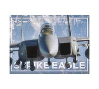 52x38cm/1000pcs Puzzles pour Adultes F15C Strike Eagle Jeu De Réflexion Puzzle, Passe-Temps Idéal pour Les Vacances À La Maison, Cadeaux d'anniversaire Et De Noël Uniques 52x38cm/1000pcs