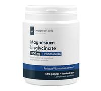 540 gélules - Magnésium bisglycinate 1500 mg & Vitamine B6 - Haute tolérance digestive - Assimilation optimale
