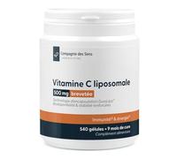 540 gélules - Vitamine C liposomale DuraLipo™ 500 mg - Biodisponibilité supérieure - Libération prolongée
