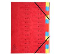 [54245E] EXACOMPTA Trieur Agrafé Carte Lustrée avec Élastiques 24 Compartimen...