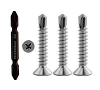 55 pièces M4.2 x 25 mm vis à tête plate en acier inoxydable, vis autotaraudeuses en métal avec 1 embout cruciforme à double tête, pour murs, plafonds et sols