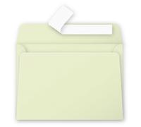 [55476] Pollen Pqt de 20 Enveloppe 120g 114x162 vert bourgeon