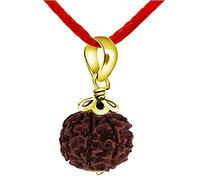 55Carat Authentique 9 Face Neuf Neuf mukhi rudraksha Pendentif Or Jaune Pendentif indonésien de Bijoux de Bijoux de Rudraksh