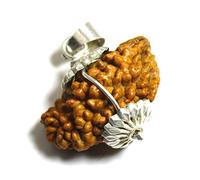 55Carat Pendentif original One Mukhi 1 face Om Rudraksha en argent plaqué, bijou astrologique pour homme et femme