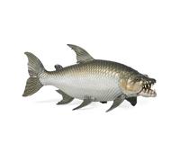 Papo - Poisson Tigre Goliath - Figurine Poisson Réaliste - 5,5 cm | Dès 3 ans, poisson prédateur réaliste pour explorer la vie aquatique en jouant et stimuler la curiosité pour la nature