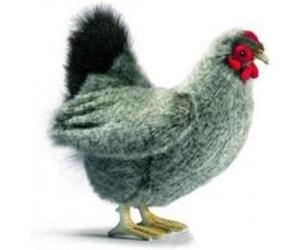 5622 - Peluche Poule Grise 31cm Beige G