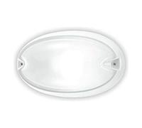 5780 - prisme (performance) puce ovale 30 1 x 100 W blanc