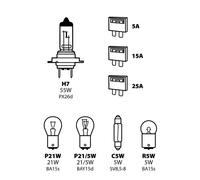 58157 Set Ampoules de Rechange 8 Pièces Halogène H7 12V 1pz