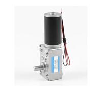 5840-31ZY 12V 24V DC electronic starter Worm Gear electronic starter Self-lock High Torque electronic starter IINKUEYK(160rpm,24V)